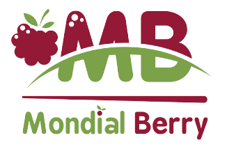 Mondial Berry